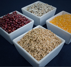 農(nóng)副產(chǎn)品進口報關(guān)代理