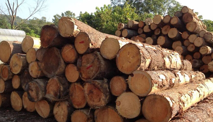 進(jìn)口報(bào)關(guān)