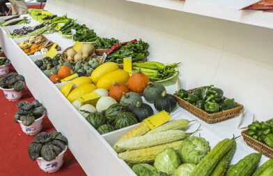 處理食品進(jìn)口報(bào)關(guān)申報(bào)你還有很多需要學(xué)