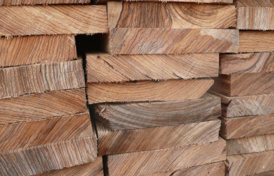 天津貿(mào)易公司-斑馬原木進(jìn)口報(bào)關(guān)操作案例