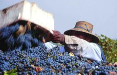 接到海關清關通告以后，一般會由CTT根據(jù)預埋的聯(lián)系電話與您建立聯(lián)系，通告中會標明您清關所要遞交的材料