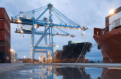 代理報(bào)關(guān)公司進(jìn)出口貨物申報(bào)要求