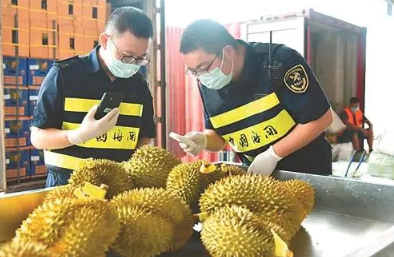 水果進(jìn)口都要注意哪些問題？進(jìn)口報關(guān)都需要哪些資料？