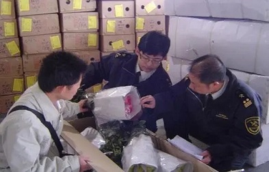 進口清關(guān)貨代能夠有效幫助企業(yè)降低成本