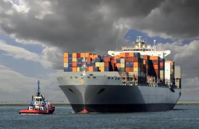 木材進口報關(guān)公司的服務(wù)內(nèi)容有哪些？