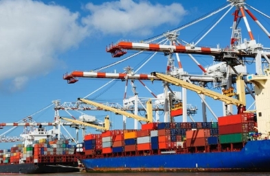 上海作為中國(guó)大的經(jīng)濟(jì)中心之一，其出口物流扮演著舉足輕重的角色